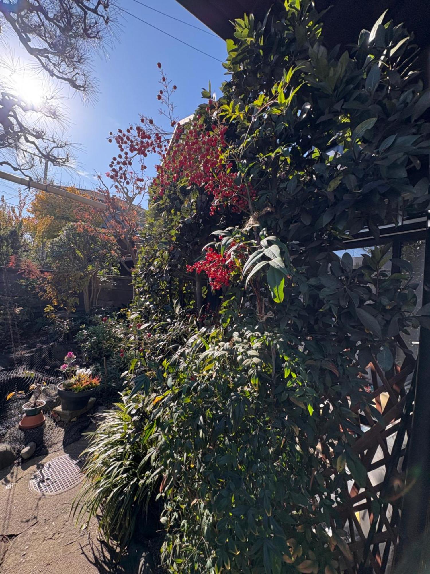 Kitazawa Cozy House Ξενοδοχείο Τόκιο Εξωτερικό φωτογραφία