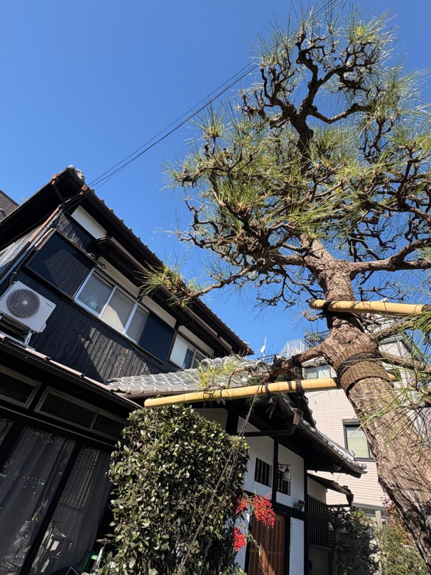 Kitazawa Cozy House Ξενοδοχείο Τόκιο Εξωτερικό φωτογραφία